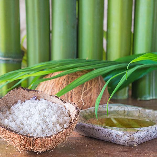 Bamboo and Coconut Scented Soy Melt Pack Scented melts Aroma Addiction